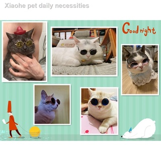 ┋✲❐Lovely Fashion Pet Dog Cat Glasses SMALL Dog Cat Sunglasses (4)