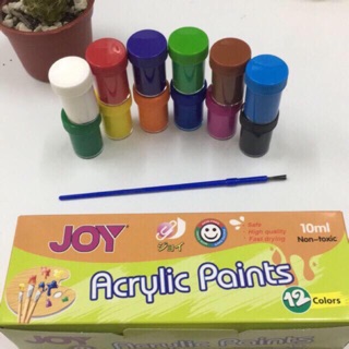 12 Colors Joy Acrylic Paint Set (1)