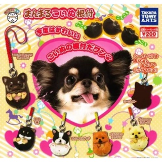 Takara Tomy Cute Puppies Gashapon Random Blind Box 100% authentic from Japan T2074