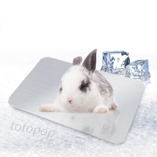 XT-PP Rabbit Cooling Mat Pet Hamster Aluminum Cool Ice Pad Cage Sleeping Bed for Bunny