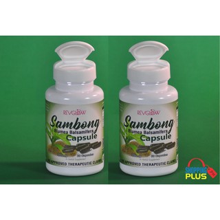 Sambong 500mg 60-Capsule (2-Bottle) Supplement for Kidney Support by Revglow