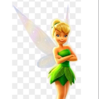 Tinkerbell (Fairy Costume