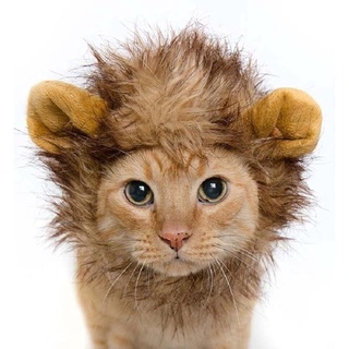 Pet Cat Dog Lion Hair Mane Ears Cap Autumn Lion Mane Wig