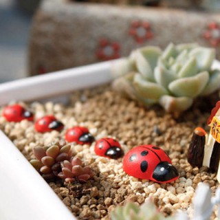 50Pcs Wooden Miniature Beetle Ladybug Fairy Figurine Garden Plant Pot Decor (3)