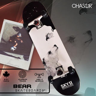 CS 31" Maple Wooden Skateboard Constellation(E066)-Bear