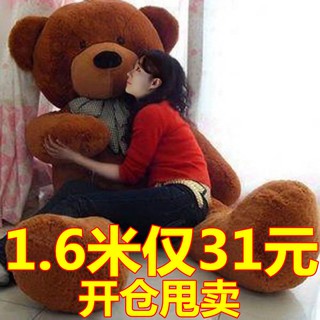 Hug Bear Teddy Ragdoll Big Cute Doll Girl Plush Toy Panda Dog Extra Large