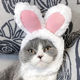 ❄℡Soft and Cute Cat Headgear Cat Headdress Dog Disguise Cute Funny Pet Hat Pet Headdress