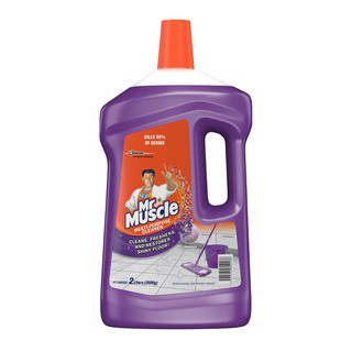 Mr. Muscle All Purpose Cleaner 2L Wild Lavender
