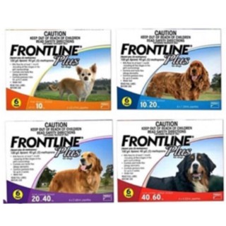 Frontline Plus Anti flea per vial & box