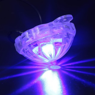 Underglow LED LIGHTS for Cars and motorcycles under glow (7)