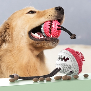 Pet Teeth Cleaning Supplies Healthy Rubber Dog Chew Toy Toothbrush Dog Teeth Cleaning Ball Wholesale Squeaky Dog Toy Chew Ball