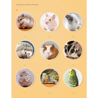 Hamster Food Hamster Treat Dried Mealworm Assorted Fruit Assorted Vegetable Wheat Germ Biscuit (4)