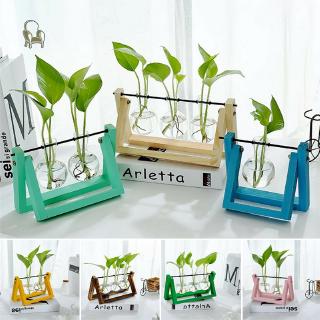 NU Hydroponic Glass Planter Bulb Vase with Wooden Stand Tray Tabletop Desk Decor .ph