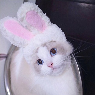 ◙▨F&T Cute Pet Rabbit Ears Hat for Cat Cosplay Clothes Fancy Pet Bunny Cap Halloween Easter Birthday