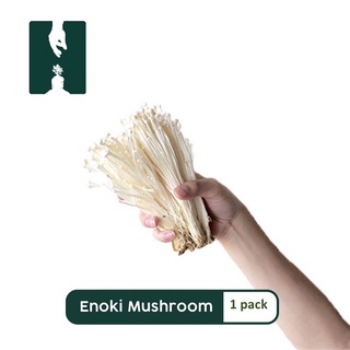 Enoki Mushroom - 1 pack - Fruits, Vegetables, Meat, Seafood, Groceries Online Home Fresh