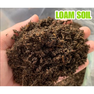 Buy 1 Take 1 Ready To use Loam Soil total of 2 kilos