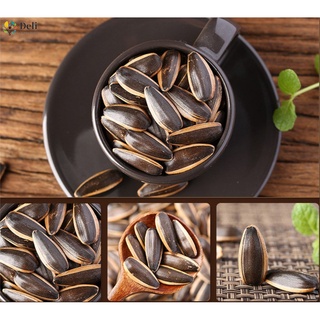 Sunflower Seed 100g Ready To Eat (1)