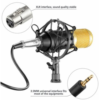 BM800 Condenser Microphone Pro Audio Studio Sound Recording Arm Stand 6 inch Pop Filter Kit (2)