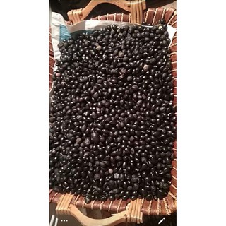 1pc- Olives seeds sale