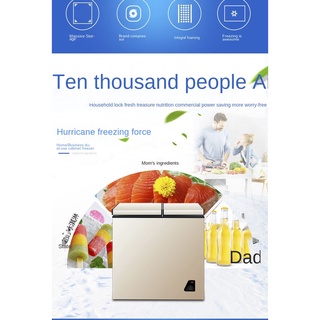 Horizontal Mini Freezer Home Use and Commercial Use Freezer Small Dual-Use Energy-Saving Cabinet DTz (4)