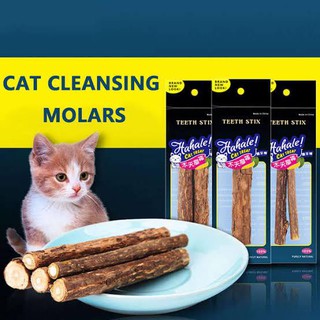 Cat Dental Molar Catnip Chew Sticks TreatCat food pet food