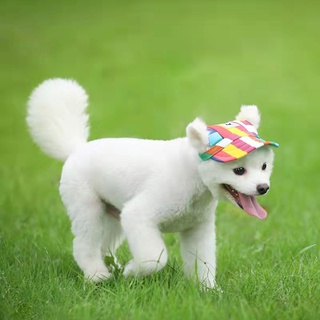 Cute Dog Hat Pet Har Cat Hat Baseball Cap Windproof Travel Sports Sun Hats for Cats Small Dog Clothe (4)