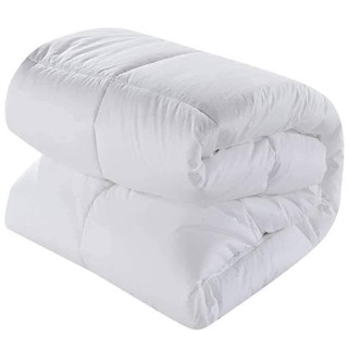 Duvet Filler/White Comforter