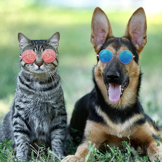【Ready Stock】™Small Pet Sunglasses Retro Dog Round Metal Puppy Eyewear for Cats and Dogs (3)