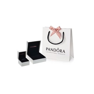 pandorara smell box and big box set (3)