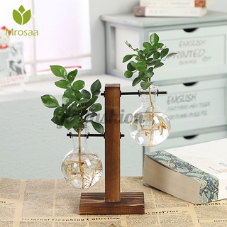 GF Glass Hydroponic Plant Vase Terrarium With Wooden Stand Transparent Flower Pot