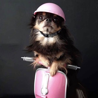 tranquillt Small Dog Cat Helmet Hat Safety Pet Supplies Motorcycle Bike Helmet Cap Outdoor (4)