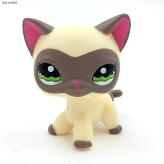 ♞Hasbro Littlest Pet Shop Eyeshade Cat LPS 1116 Accessories Random Hasbro Gift Kid Toy Rare Xmas Col