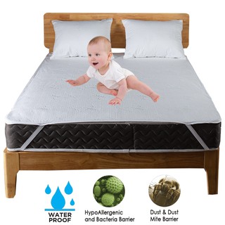 [Ready Stock]Bamboo Waterproof Bed Protector Bedbug Proof Mattress Cover Home Hotel Bedding Queen