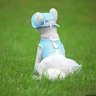 Pet Hat Summer Canvas Visor Lovely Travel Sport Comfortable Breathable Stylish Dog Cat Cap Sunhat