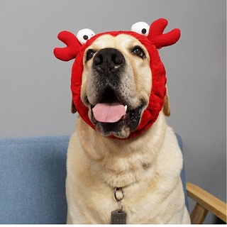 Pet Selling Cutie Cute Headgear Hat Dog Golden Retriever Labrador Corgi Medium Large Dog Headwear Dress Up Hat Pet hat