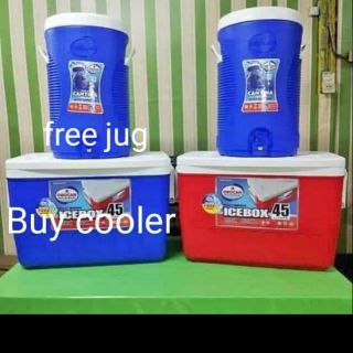 Buy Orocan icebox 45L with free cooler 22L