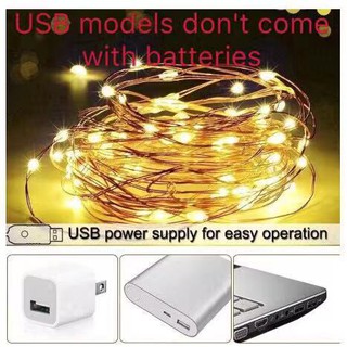 (Free battery) 5meters Fairy Lights Led battery Operated (3)