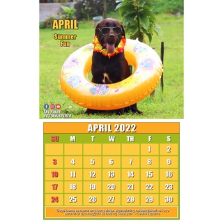 Pet Calendar 2022 - Pinoy Dog Whisperer dogs cats horse
