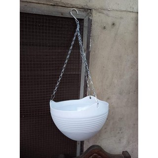 Imported Hanging Pot