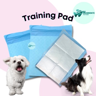 Aquarium Pet Dog Training Pad Pee PER PIECE Pads Potty