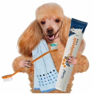 Pet Toothpaste Toothbrush Set Teeth Hygiene Oral Care Kit for Cat Dog Puppy Cleaning Supplies