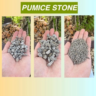1kg Pumice Stones (Matanghito, 1 cm, Corn, 3/8) for Outdoor Garden Decorations