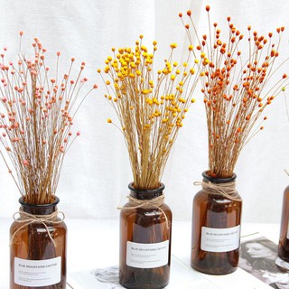 DADATOP 50Pcs Flowers Small Natural Dried Flowers Home decoration immortal flower natural simulation flower ins dried flower bouquet