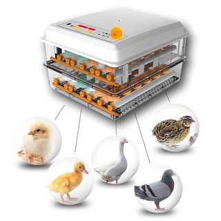 220V/12V Chicken Egg Incubator Fully Automatic with Hatcher Intelligent Digital Automatic Chicken/Duck/Quail/Pigeon Incubator