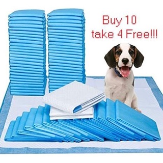 Bowls & Feeders﹊Training potty pad Dogs / Cats 1 piece