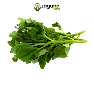 Zagana Farm Fresh Spinach Baguio 250G
