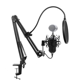 ESN SD-MM5S Professional Recording Condenser Microphone Set With Microphone Stand