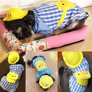 Pet Clothing & Accessories❈Dog Kindergarten Costume w/ Hat Cat Cosplay Clothes