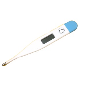 Digital Thermometer - with case