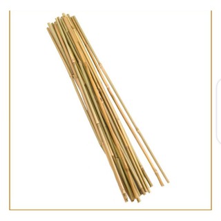BAMBOO STICK 145 cm HEIGHT(20pcs for only330pesos)